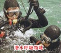 成功香蕉视频APP污视频